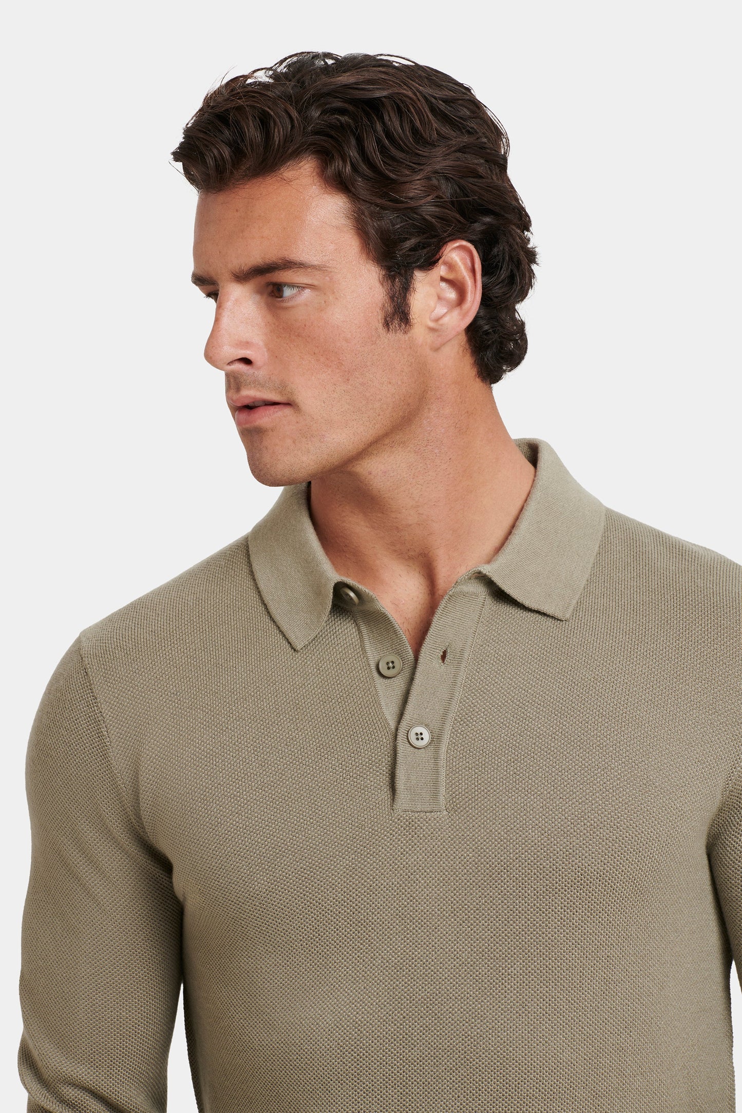 THE ARI POLO